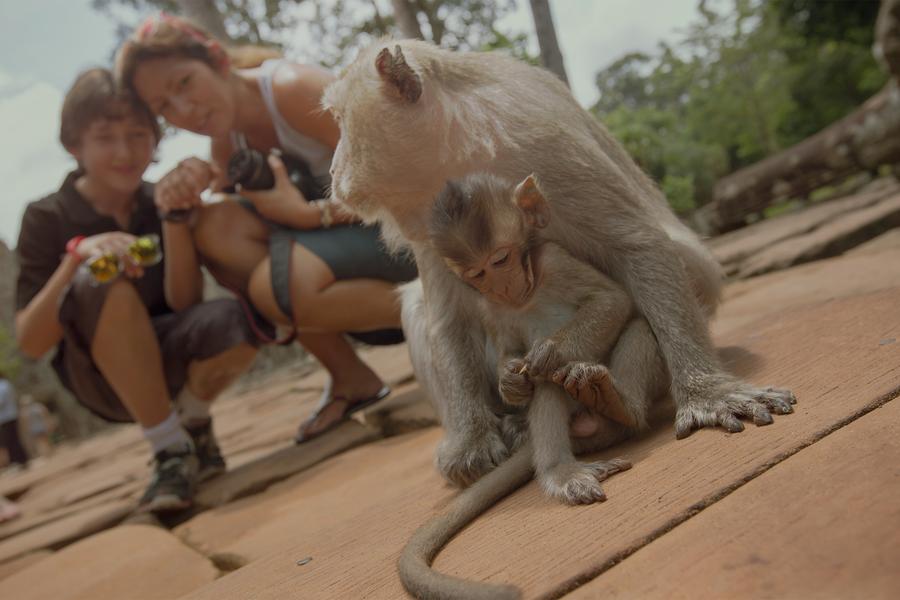 There are many places where we can expose our children to the wildlife of our planet, places where animals roam freely and we become only an observer. Family blogger, Jenna Francisco takes us around the globe to her top 5 choices to see wildlife with children.