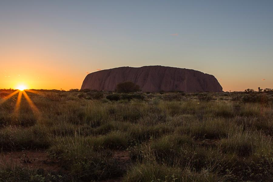 We take a moment to pause and honour our planet—as well as think about ways to sustain and savour it.