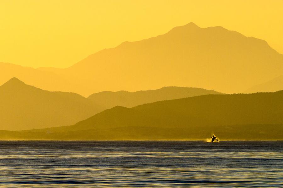 Photographer Peter West Carey proves that the hours between dusk and dawn ain’t got nothin’ on Mexico’s sunrises and sunsets.