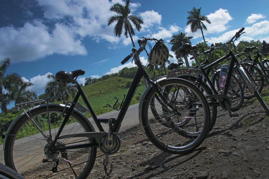 Power-packed, local foods to make your ride, hike or jog easier