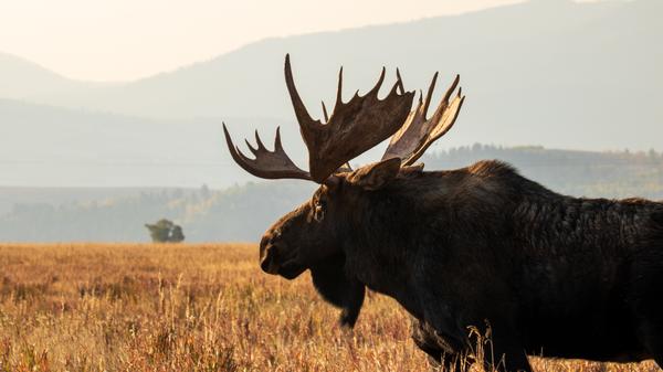 From wildlife spotting in Wyoming to traditional Aegean cooking classes, our newest adventures are full of unique highlights