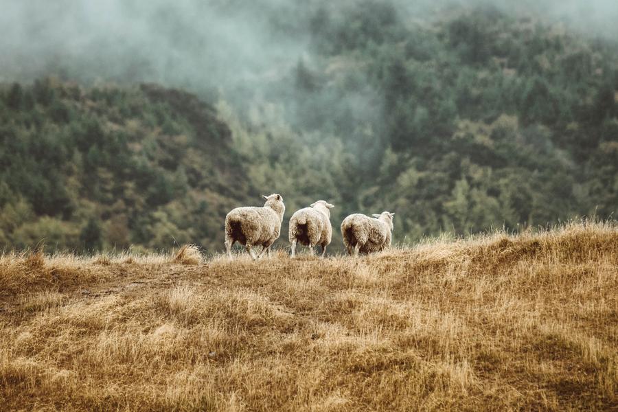 Feel free to sigh wistfully as you scroll 10 dreamy spots on its North and South islands