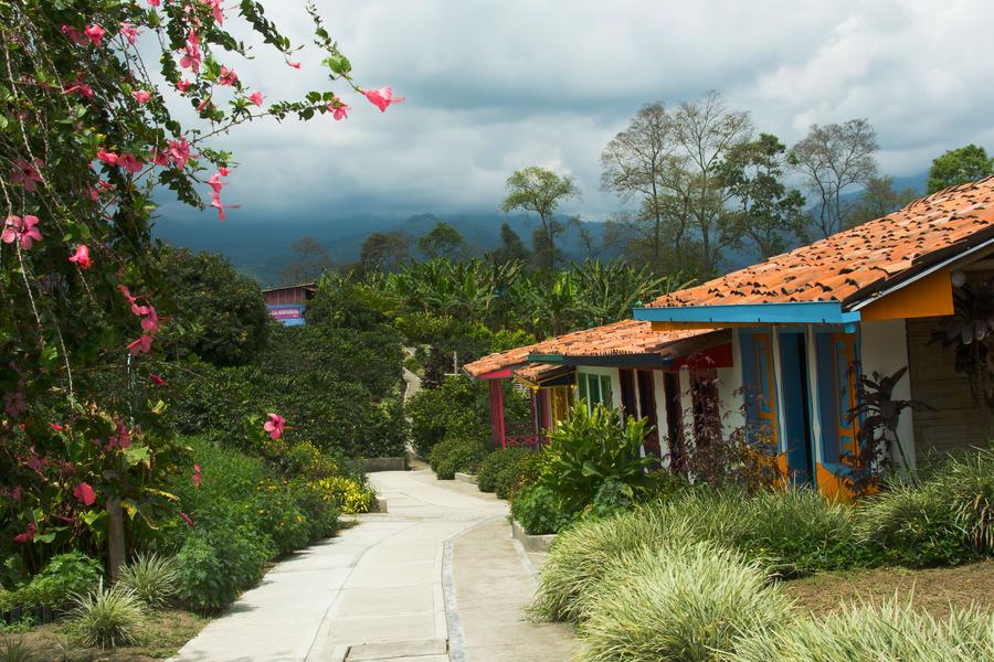 Colombia boasts a mix of wildlife, geography, and history quite unlike any other in South America