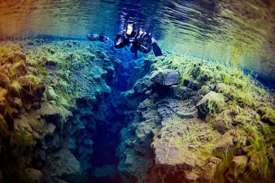 We so often look to space with curiosity that it’s easy to forget there’s an entire universe of life, both great and small, within our planet’s oceans. Pics of the Week attempts to explore the meaning of Jacques Cousteau’s quote, "The sea, once it casts its spell, holds one in its net of wonder forever."