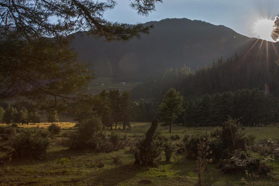 Can food be the reason why Bhutan is the happiest nation in the world? Nellie Huang goes to the Himalayan nation to find out.