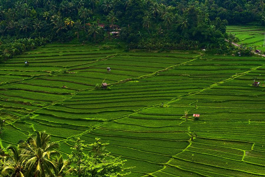 Idols of gold, mist-shrouded mountains and incredible wildlife—join our travellers as they unearth a few of the secrets waiting to be discovered in South East Asia.