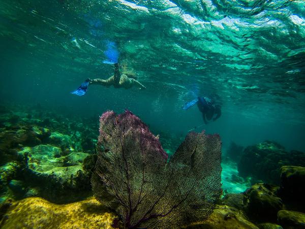 Commonly known as the ATM, this cave is full of dips, dives, ancient pottery — and human remains