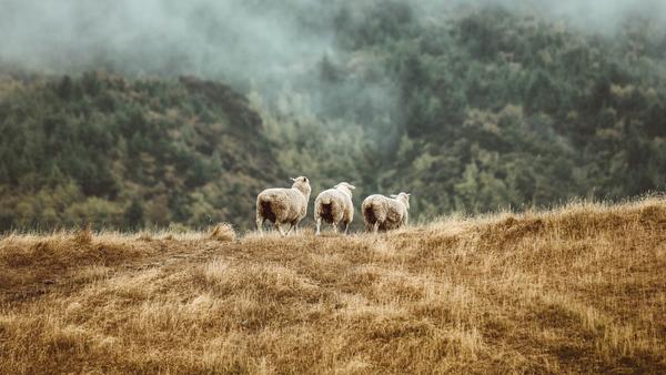 Feel free to sigh wistfully as you scroll 10 dreamy spots on its North and South islands