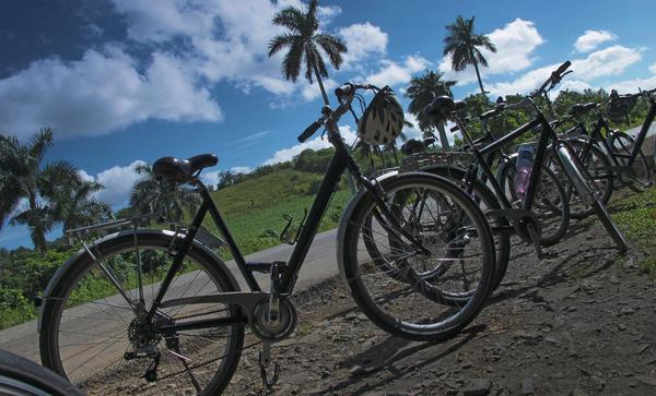 Power-packed, local foods to make your ride, hike or jog easier