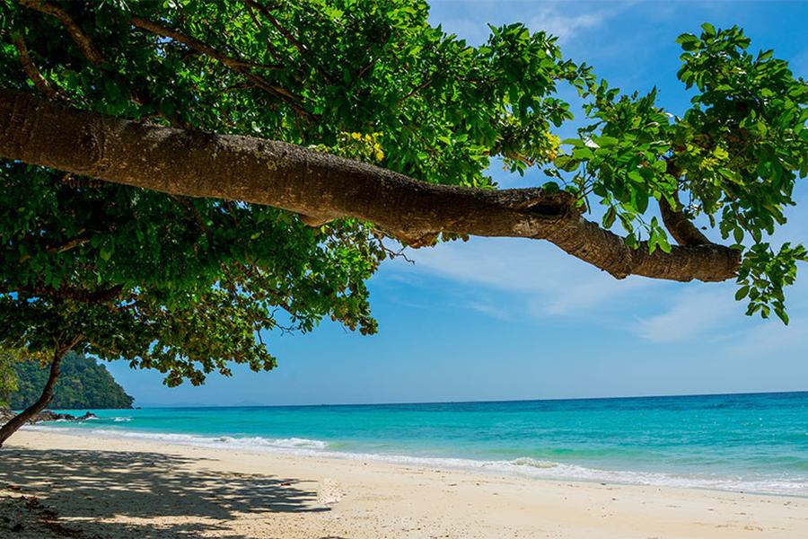 Andaman Sea and the Gulf of Thailand - Our guide to the best Thai Islands